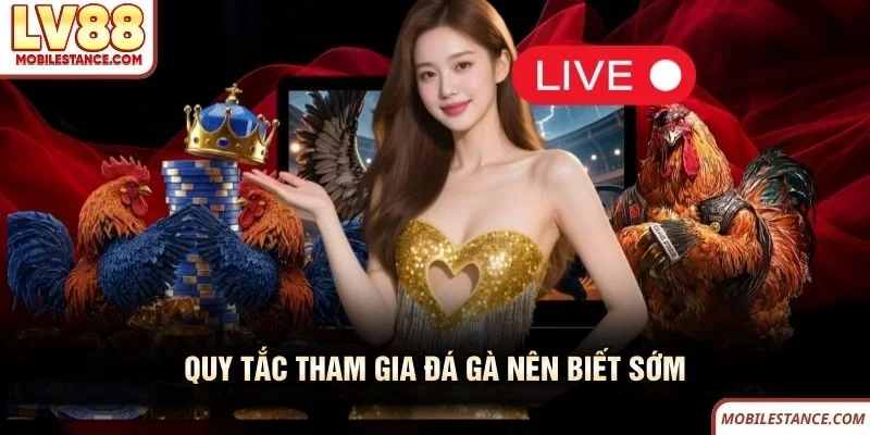 Quy tắc tham gia đá gà nên biết sớm