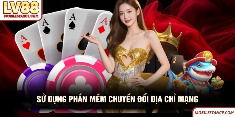  Sử dụng phần mềm chuyển đổi địa chỉ mạng